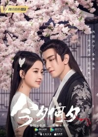 Какая сегодня ночь!