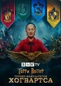 Гарри Поттер: Битва факультетов