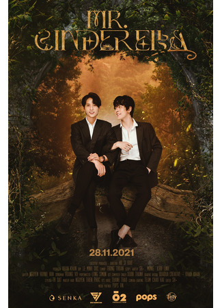 Мистер Золушка